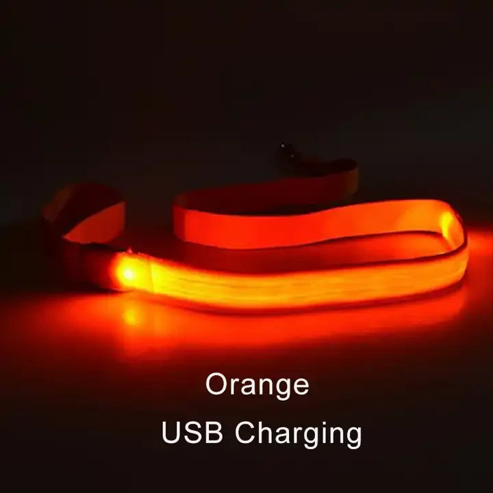 Wuffielove – LED-Nylon-Hundeleine 🌟