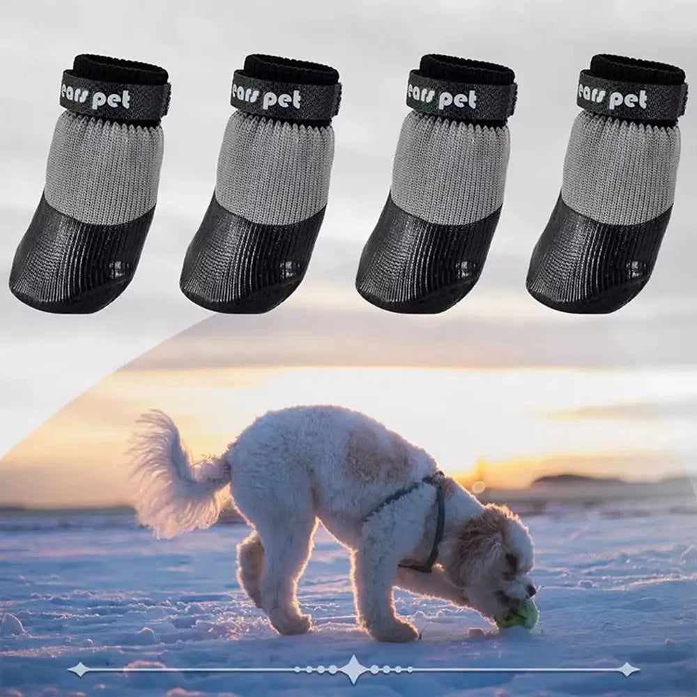 Wuffielove „Arctic-Paws 2026“