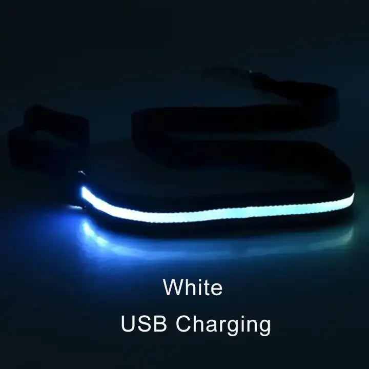 Wuffielove – LED-Nylon-Hundeleine 🌟
