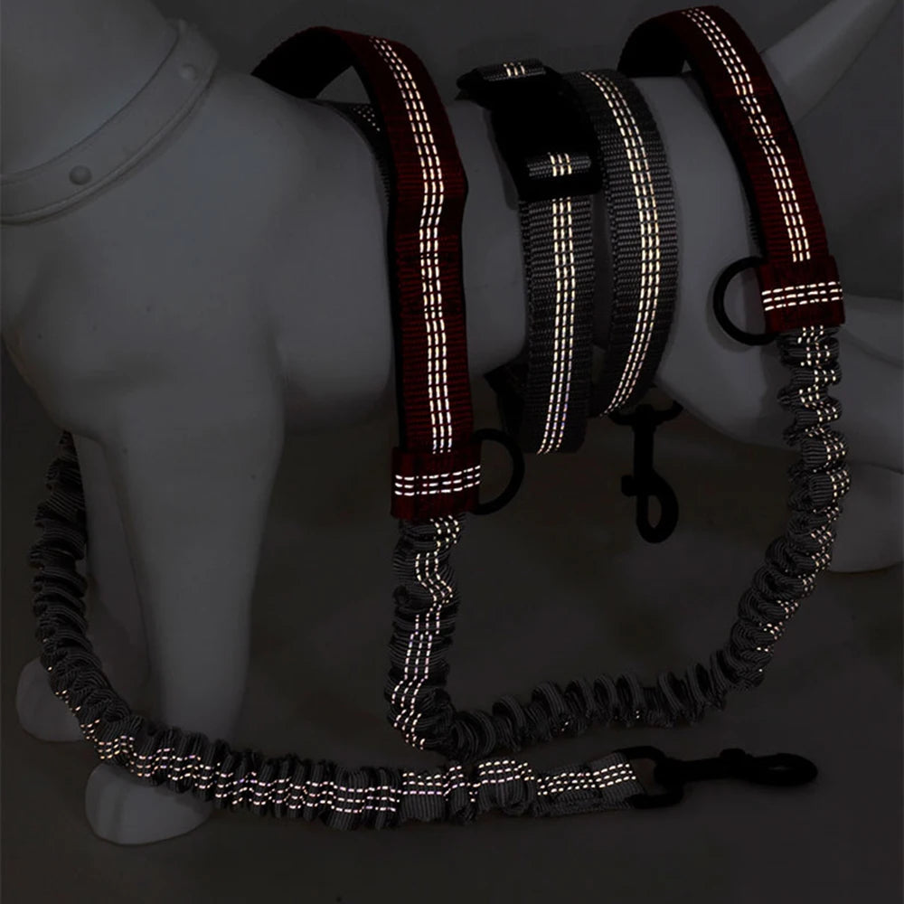 Hundeleine & Halsband