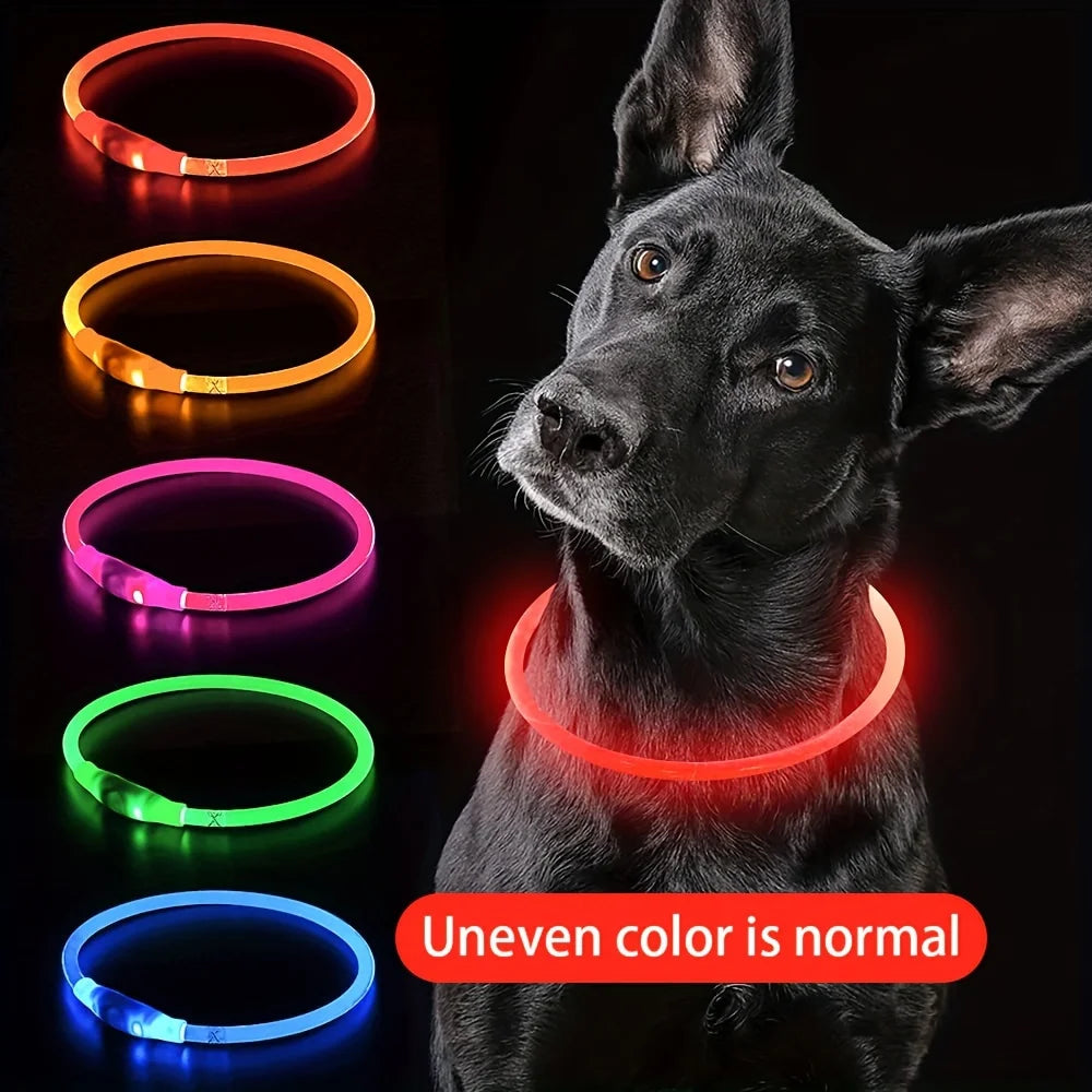 Nylon-Hundehalsband 🐾