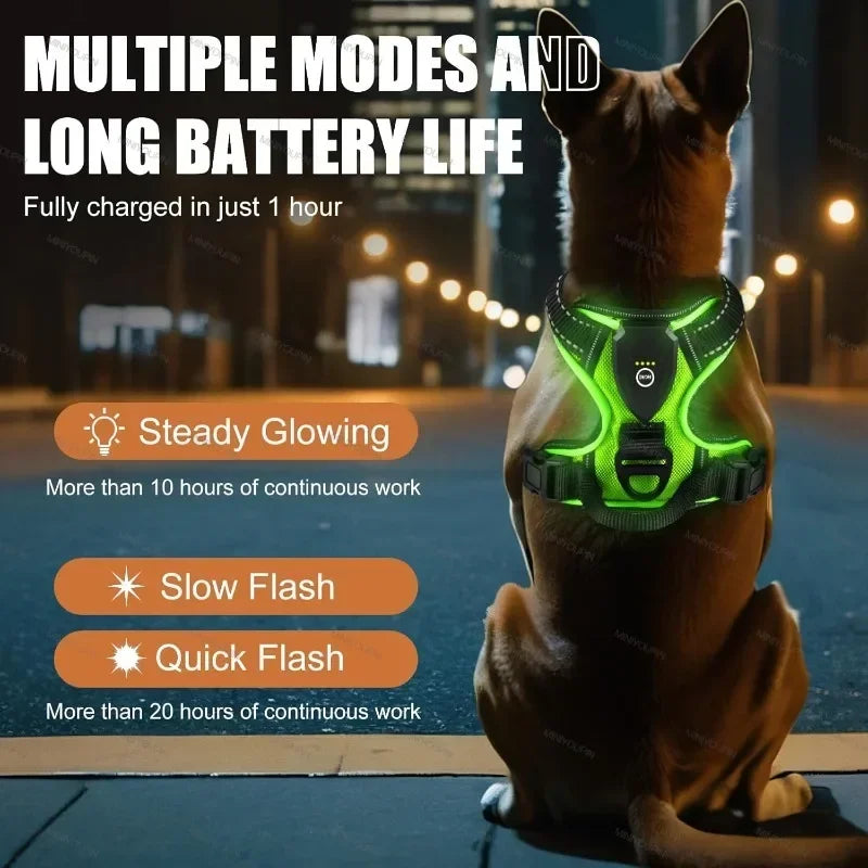 Wuffielove – LED Leucht