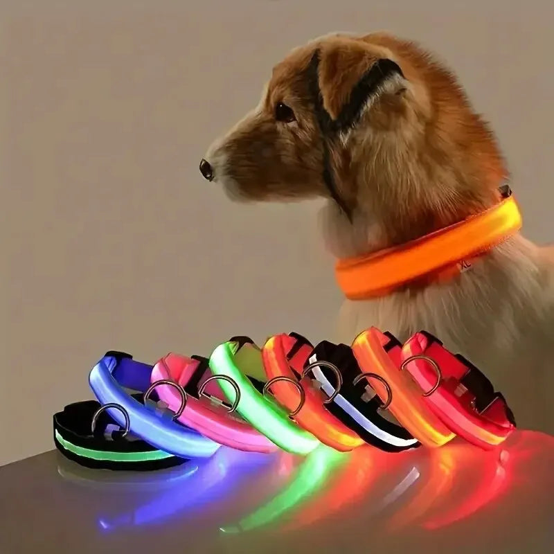 Wuffielove – Hundehalsband 🐶