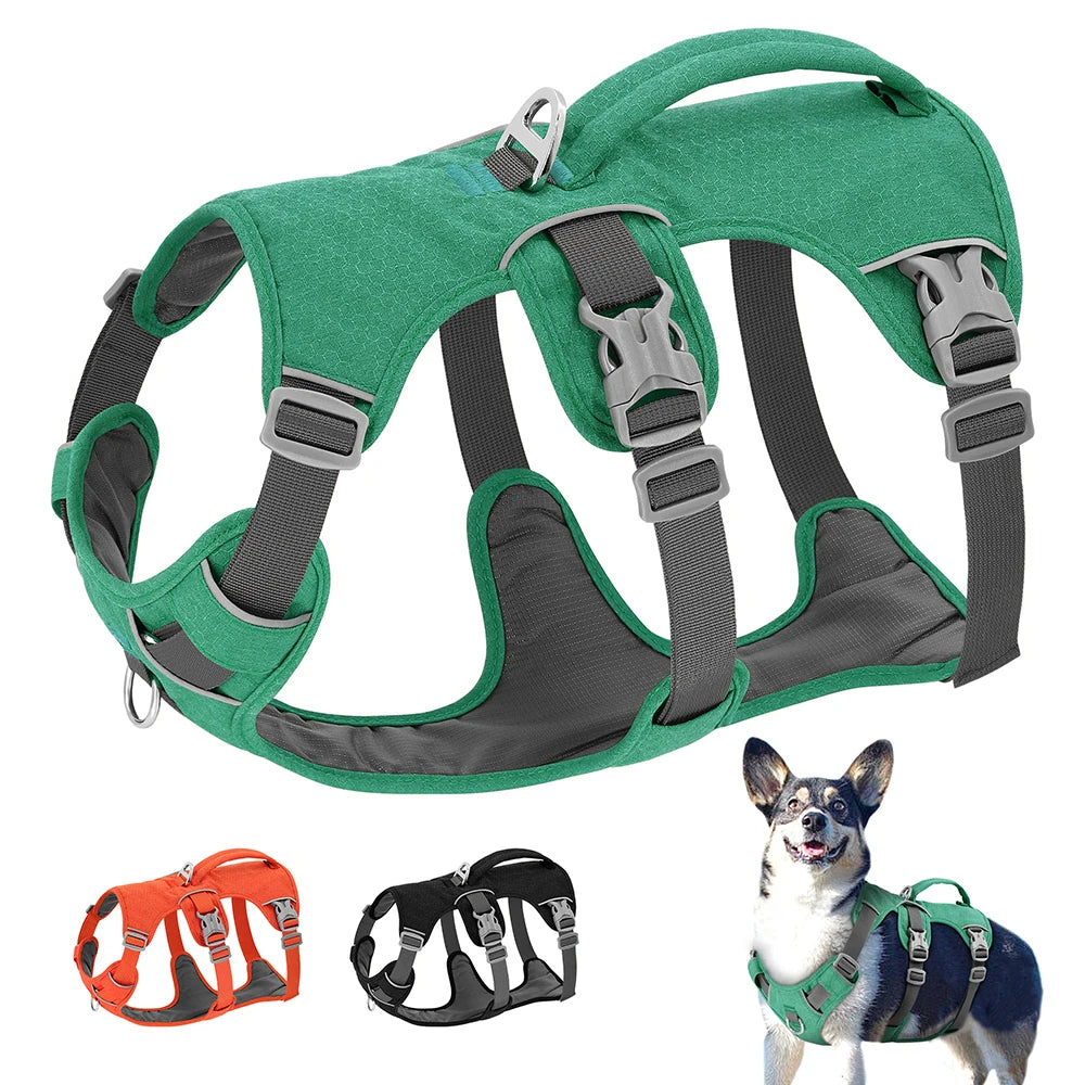 Premium Hundegeschirr