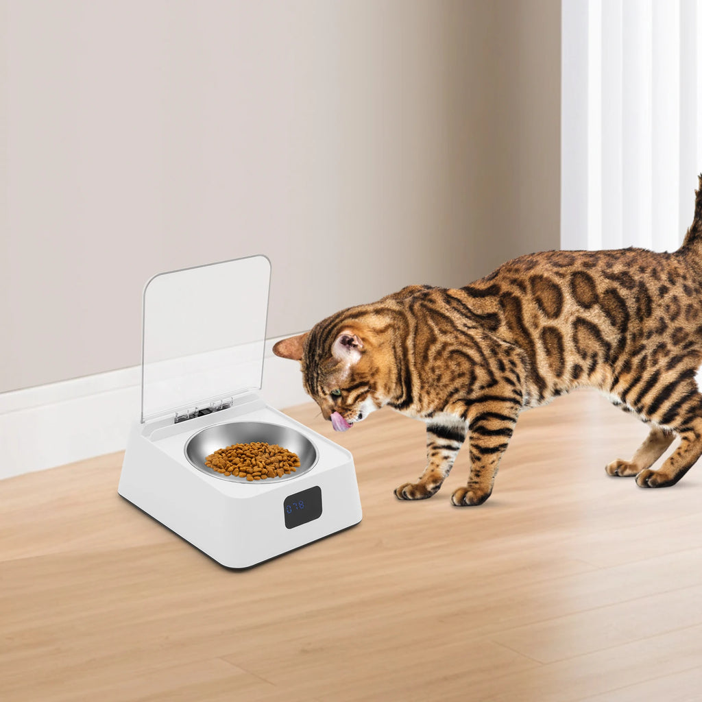 Wuffielove – Futterspender 🐾