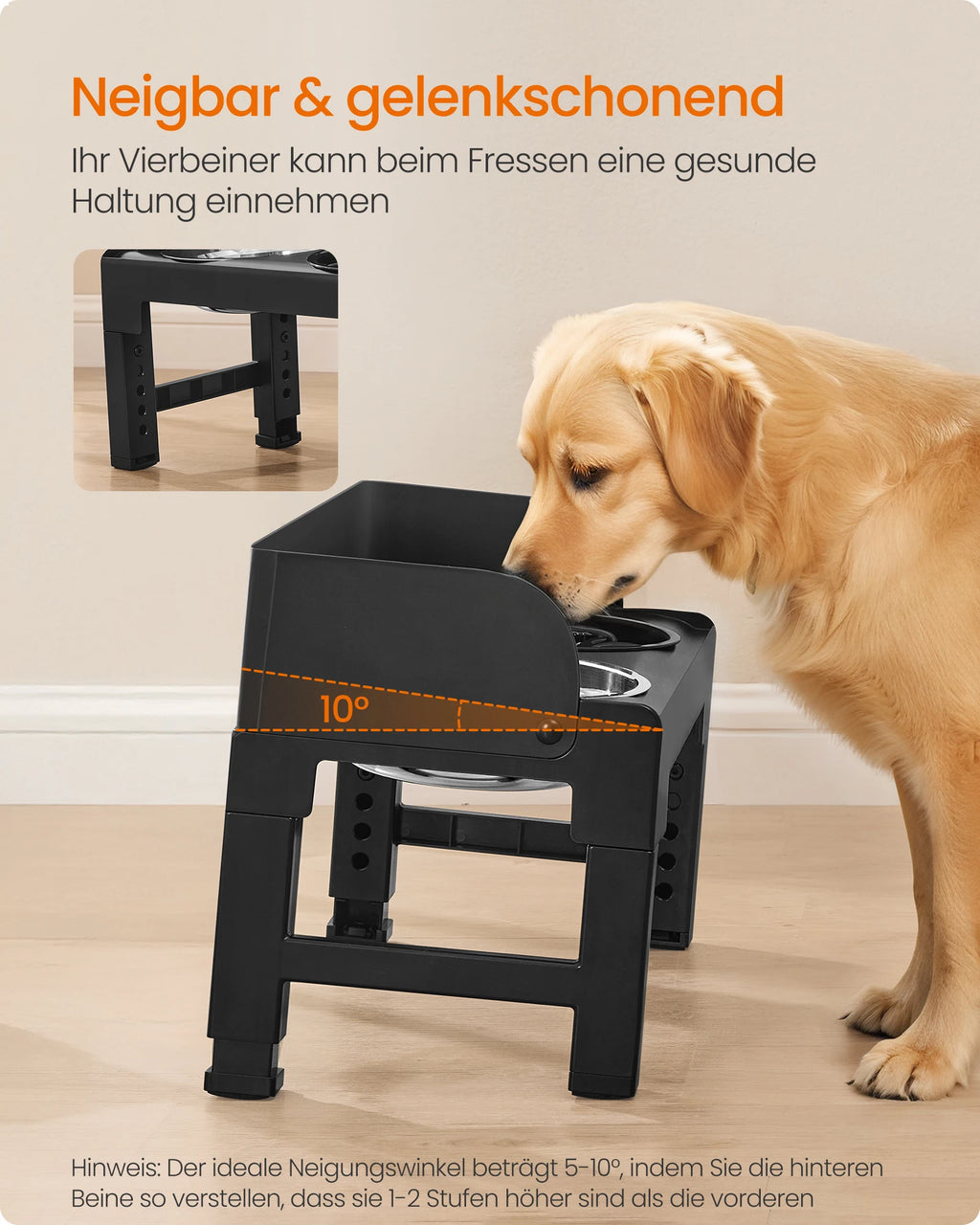 Ergonomischer Hundenapf