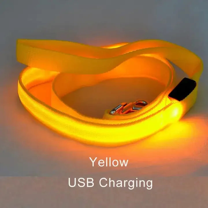 Wuffielove – LED-Nylon-Hundeleine 🌟