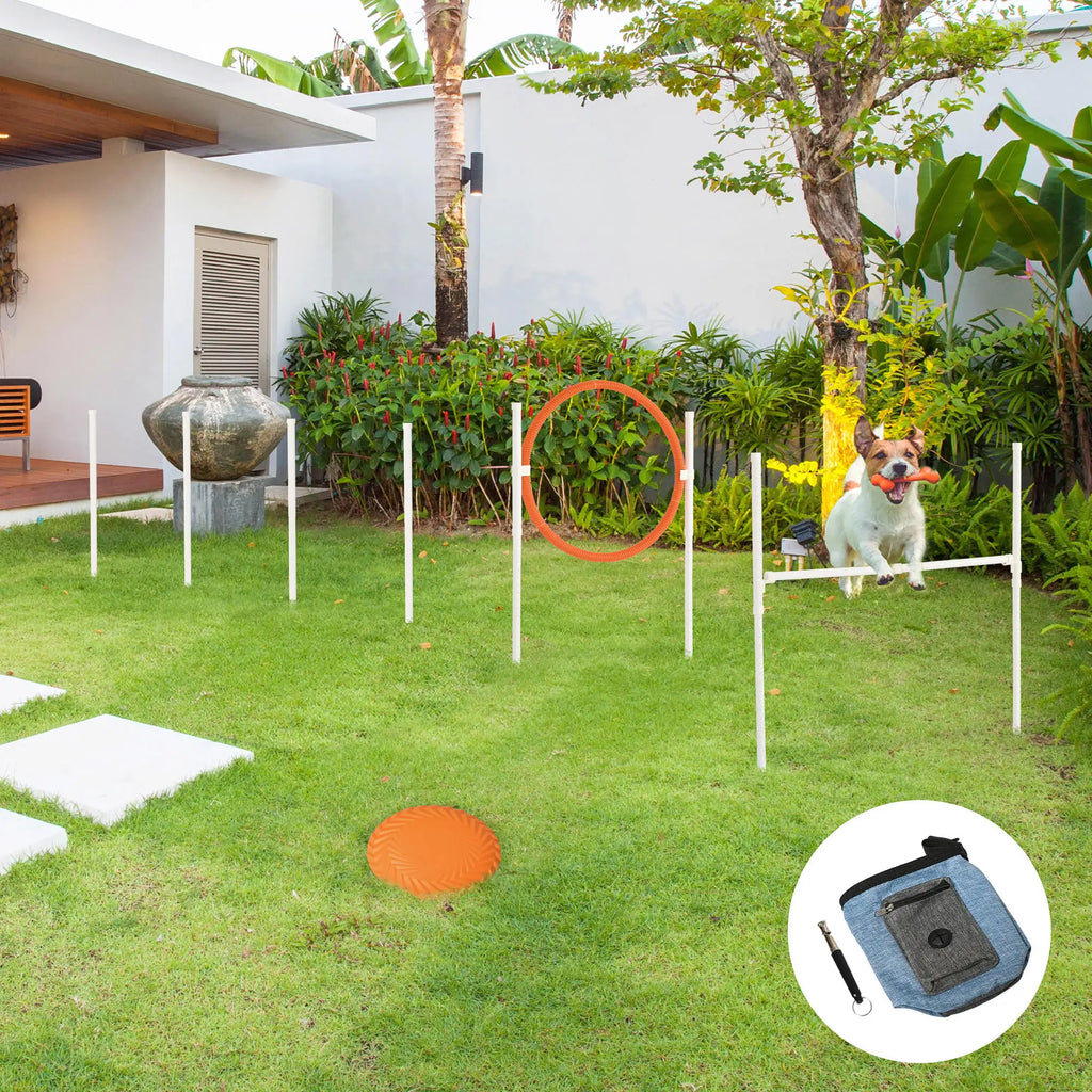 🐶 PawHut Agility Set für Hunde