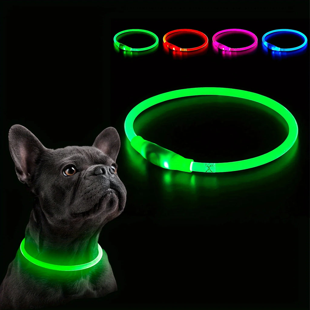 Nylon-Hundehalsband 🐾