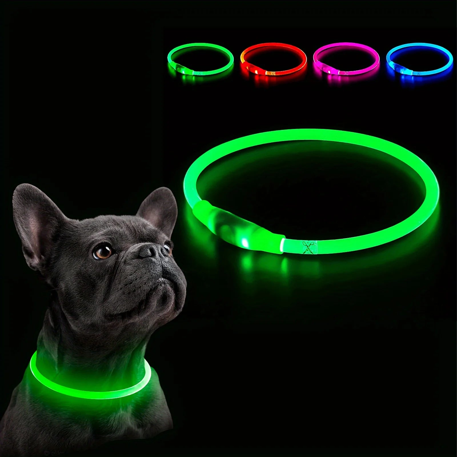 Nylon-Hundehalsband 🐾