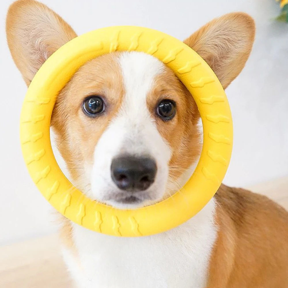 Wuffielove „Aero-Ring“