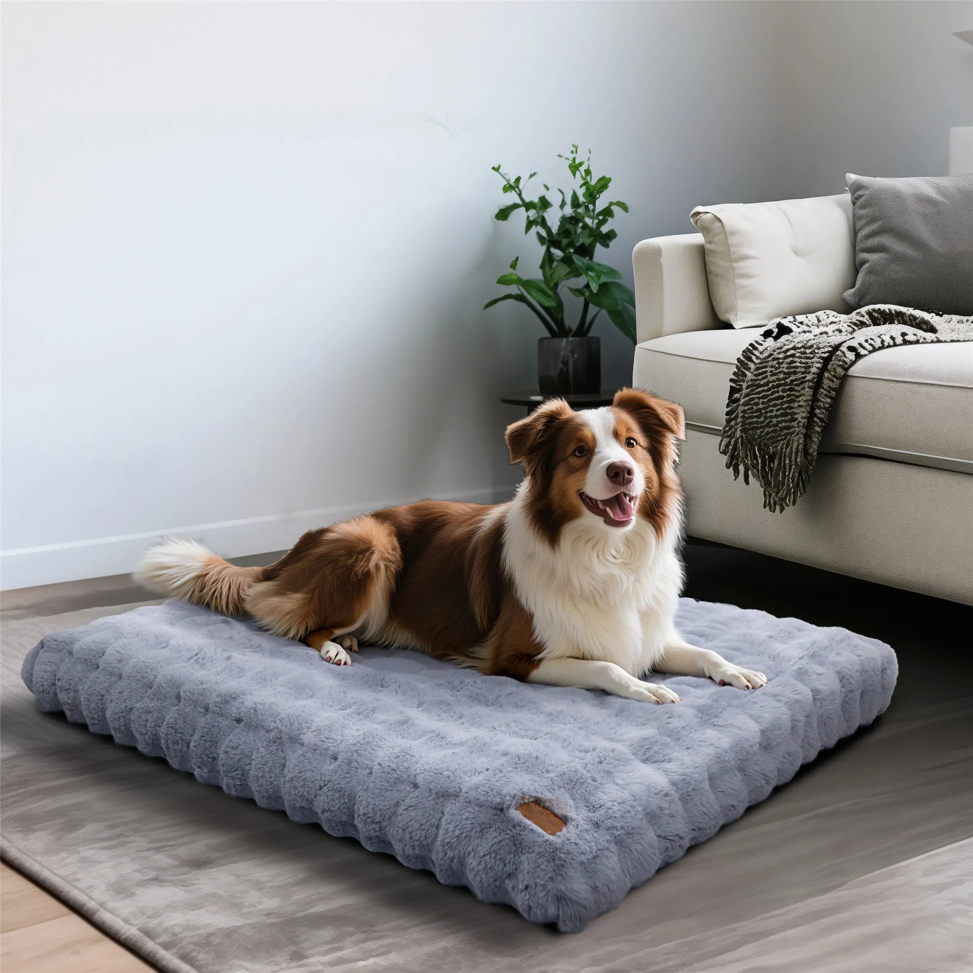 Kuscheliges Hundebett