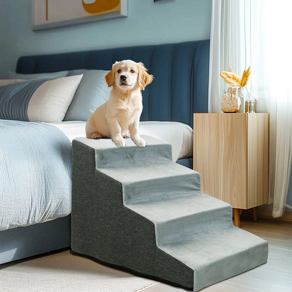 Hundetreppe 💕🐕