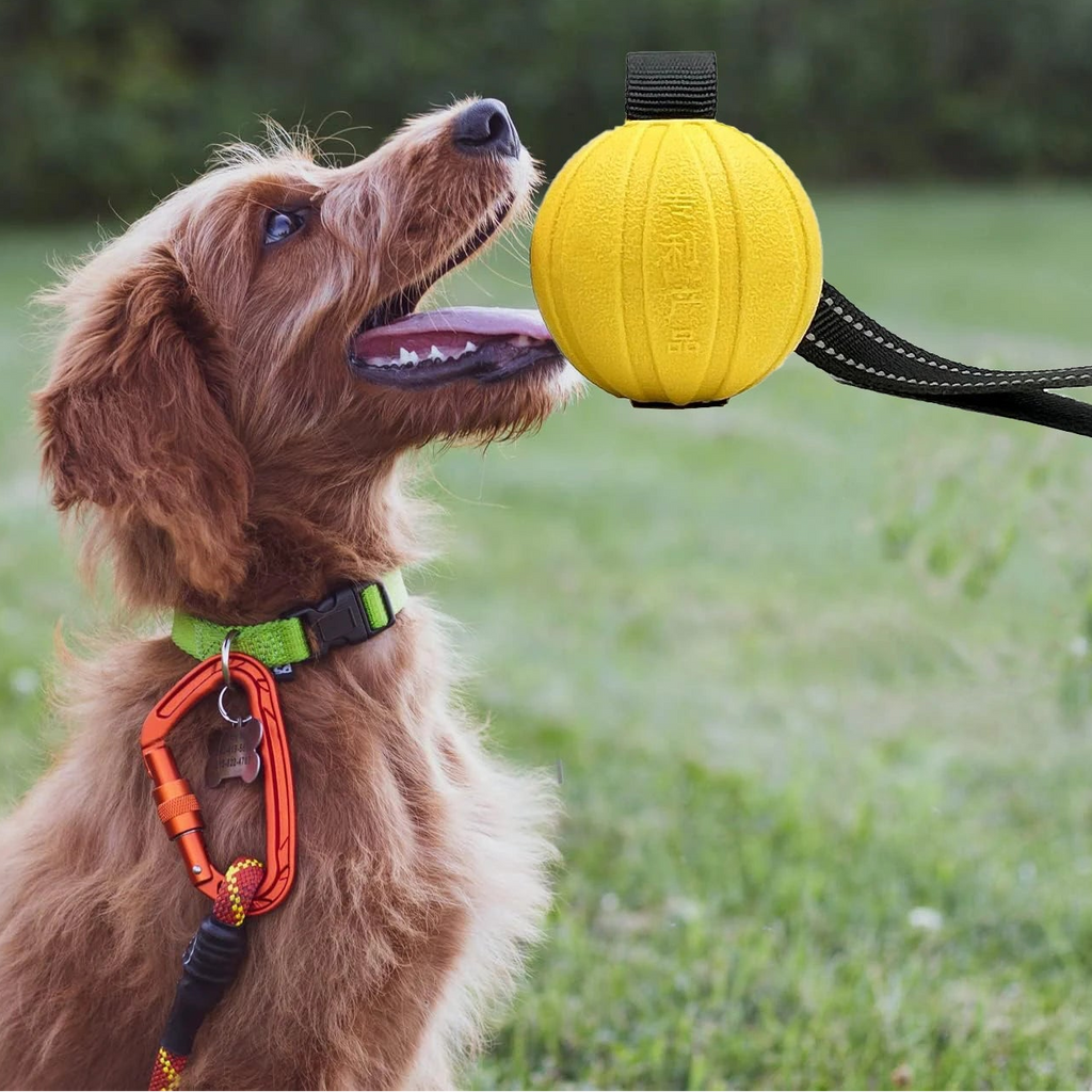 Wuffielove „Action-Float“