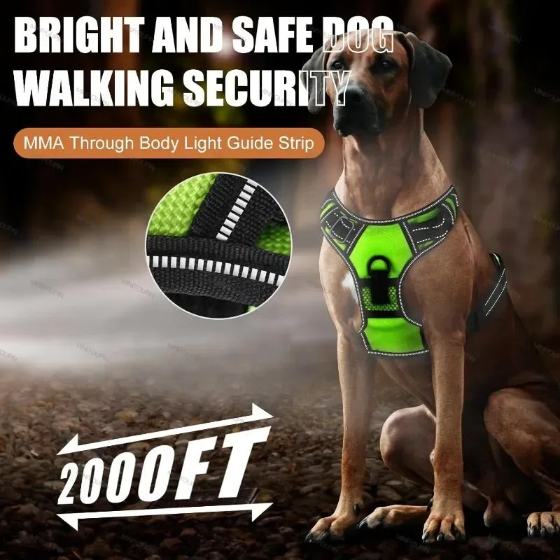 Wuffielove – LED Leucht