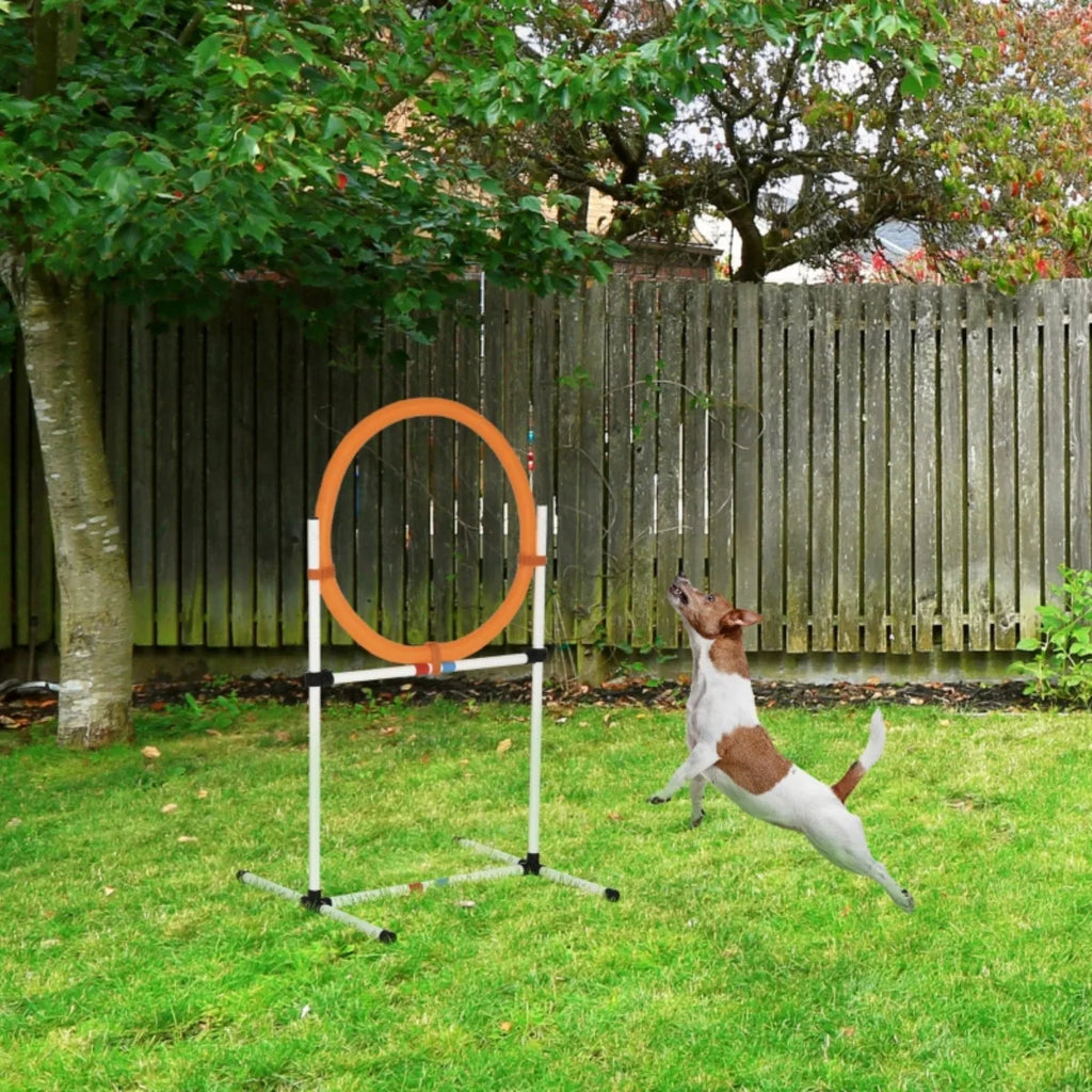 Wuffielove „Jump-Master“