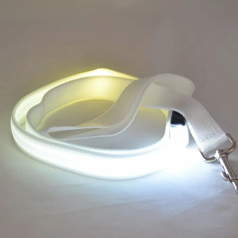 Wuffielove – LED-Nylon-Hundeleine 🌟
