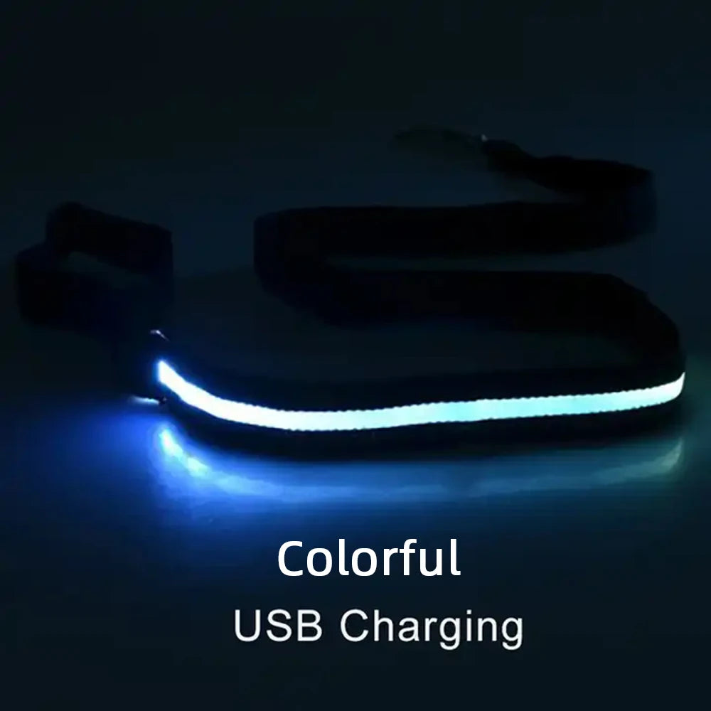 Wuffielove – LED-Nylon-Hundeleine 🌟