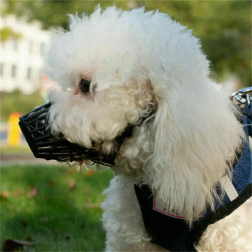 Ausziehbare Rollleine