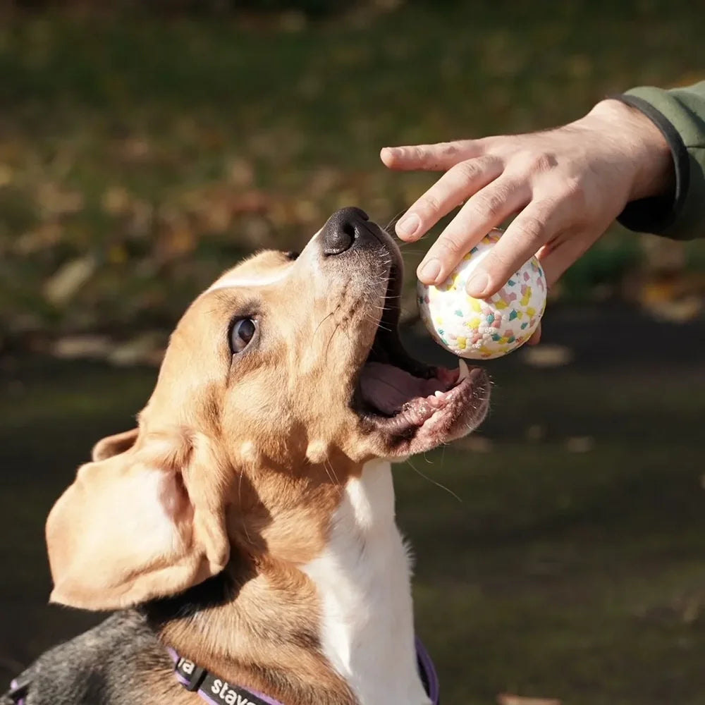 Wuffielove „Unstoppable-Bounce“