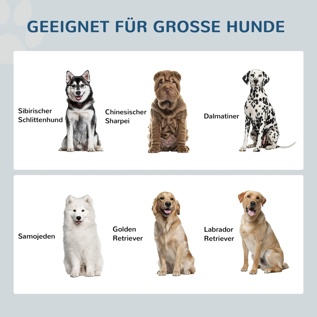 Wuffielove – Erhöhte Hundeschüssel