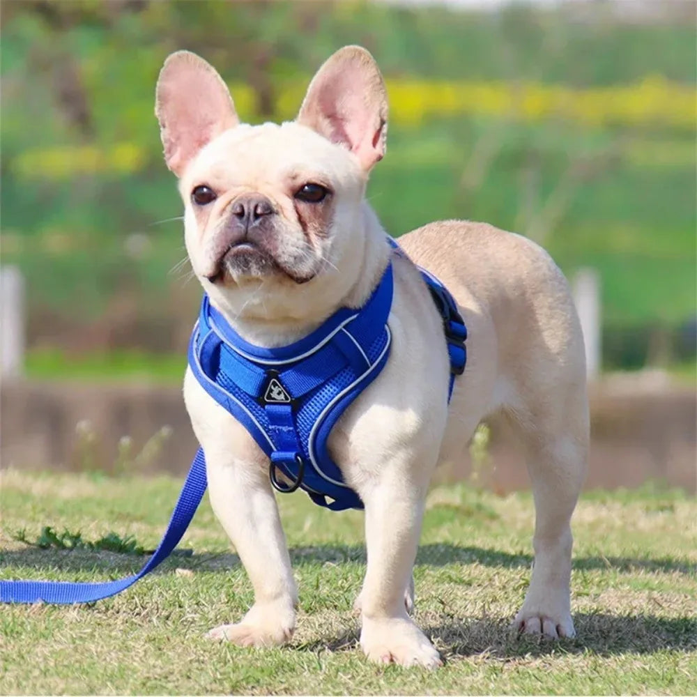 Wuffielove Hundegeschirr