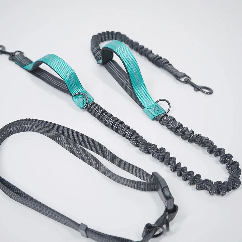 Hundeleine & Halsband