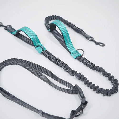 Hundeleine & Halsband