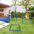 PawHut „Ultimate-Circuit“