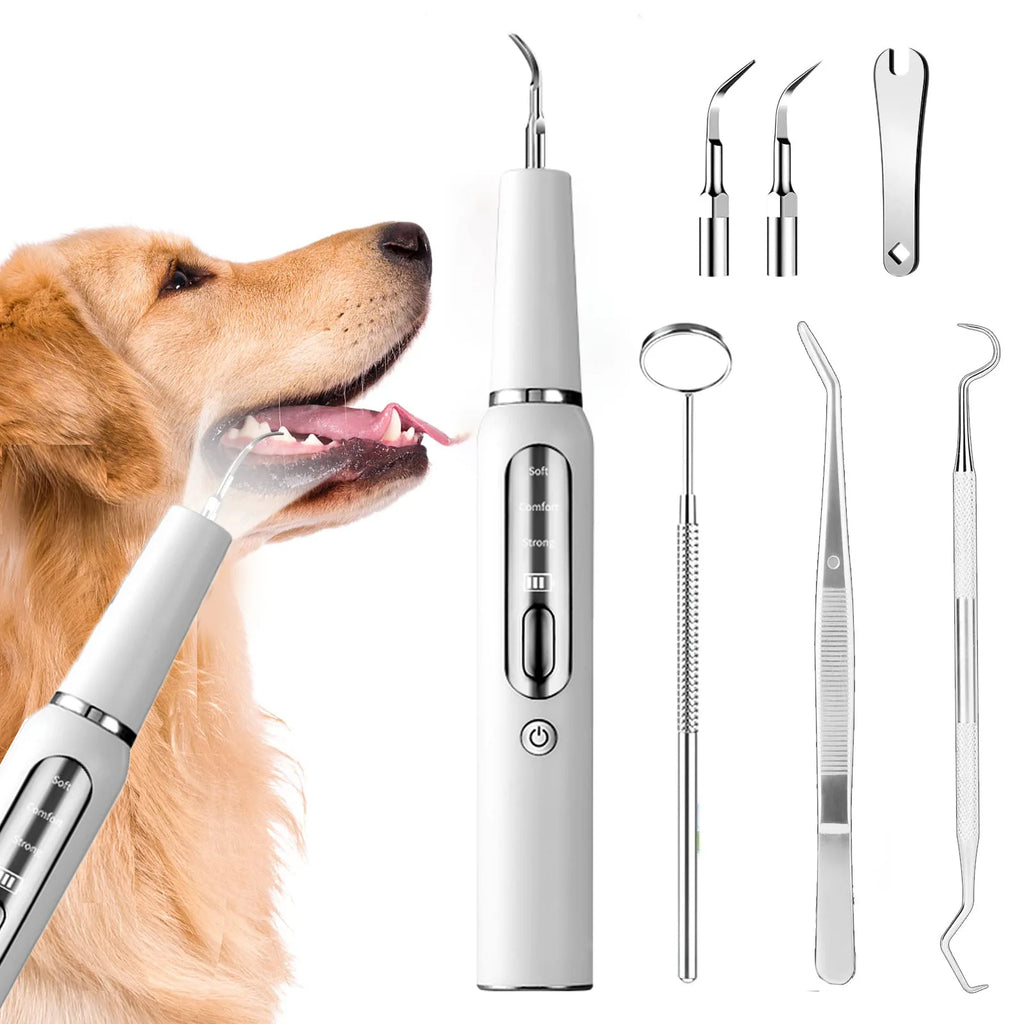 Wuffielove „Dentalschutz“