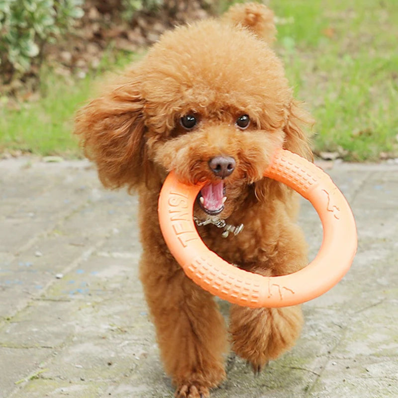 Wuffielove „Aero-Ring“