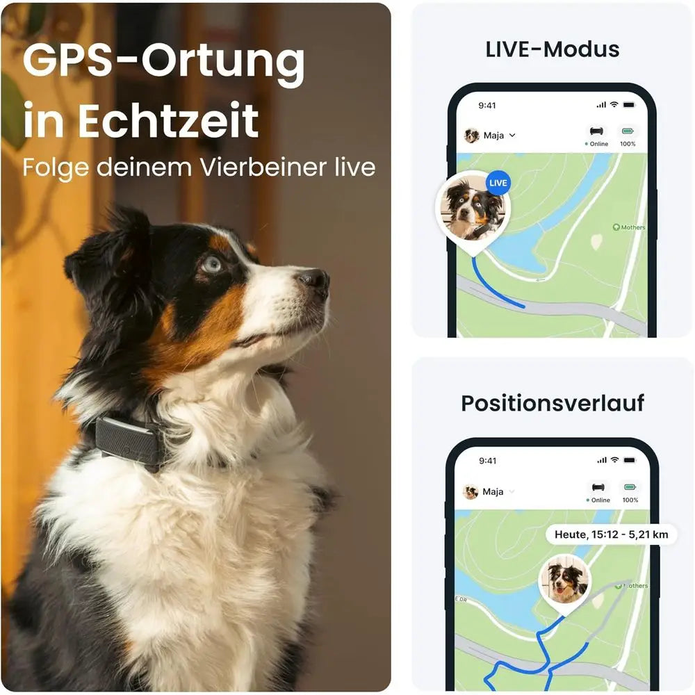 Wuffielove „Safe-Guard 2026“