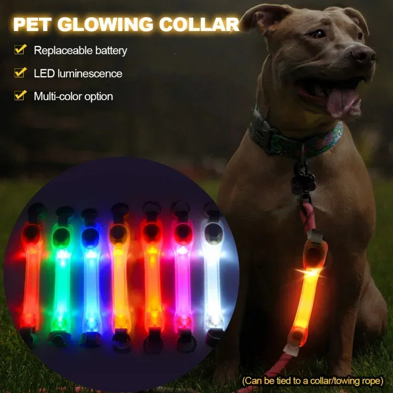 Sicherheits-LED-Glowing-Halsband