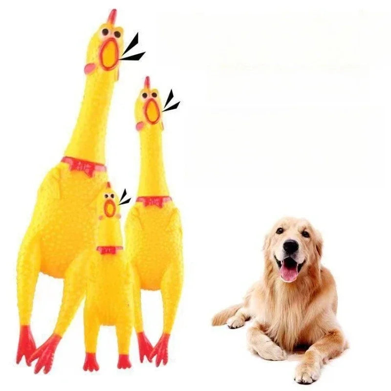 Party-Chicken