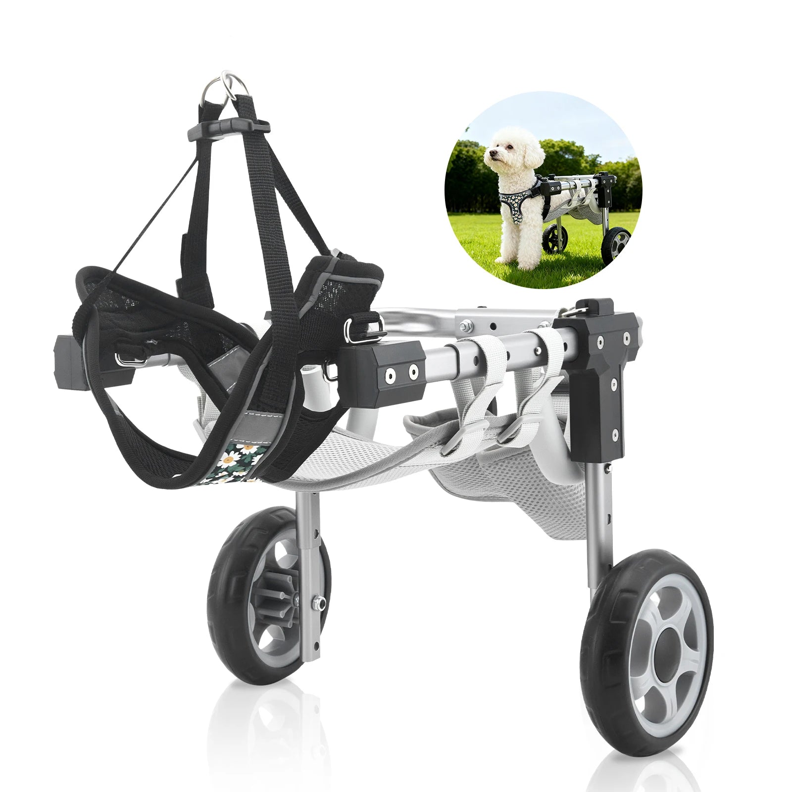 Wuffielove „Freedom-Racer“