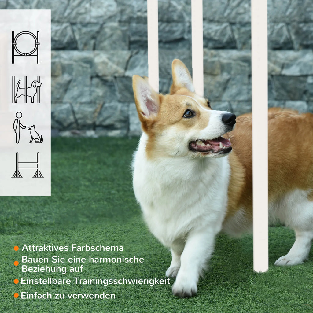 🐶 PawHut Agility Set für Hunde