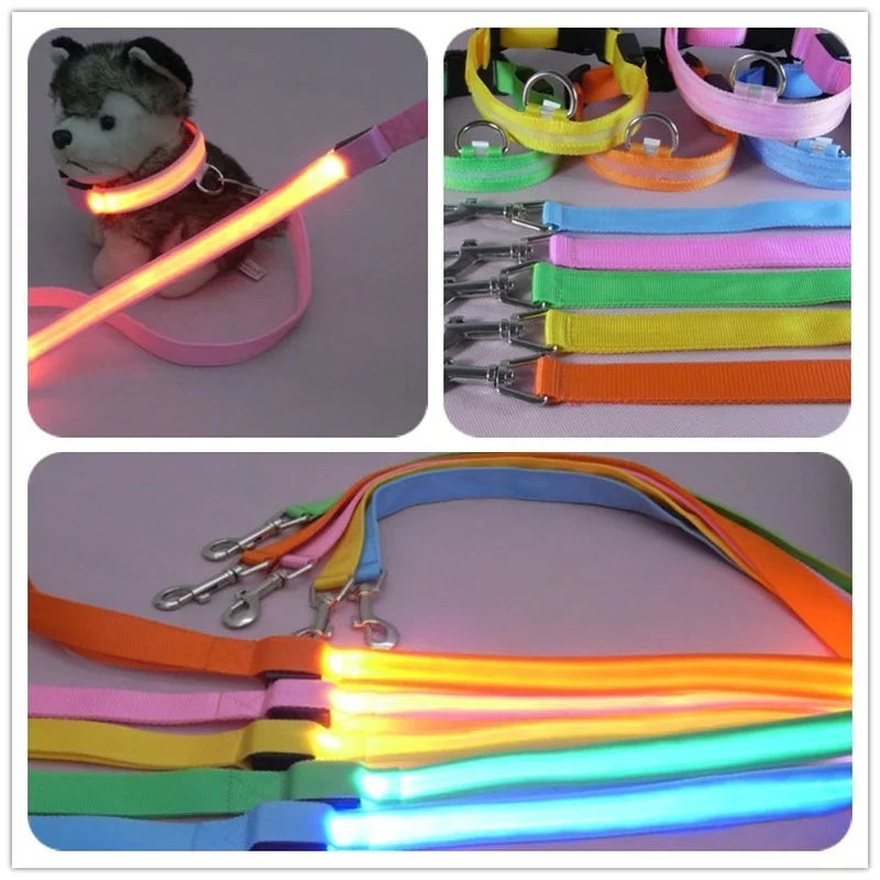 Wuffielove – LED-Nylon-Hundeleine 🌟