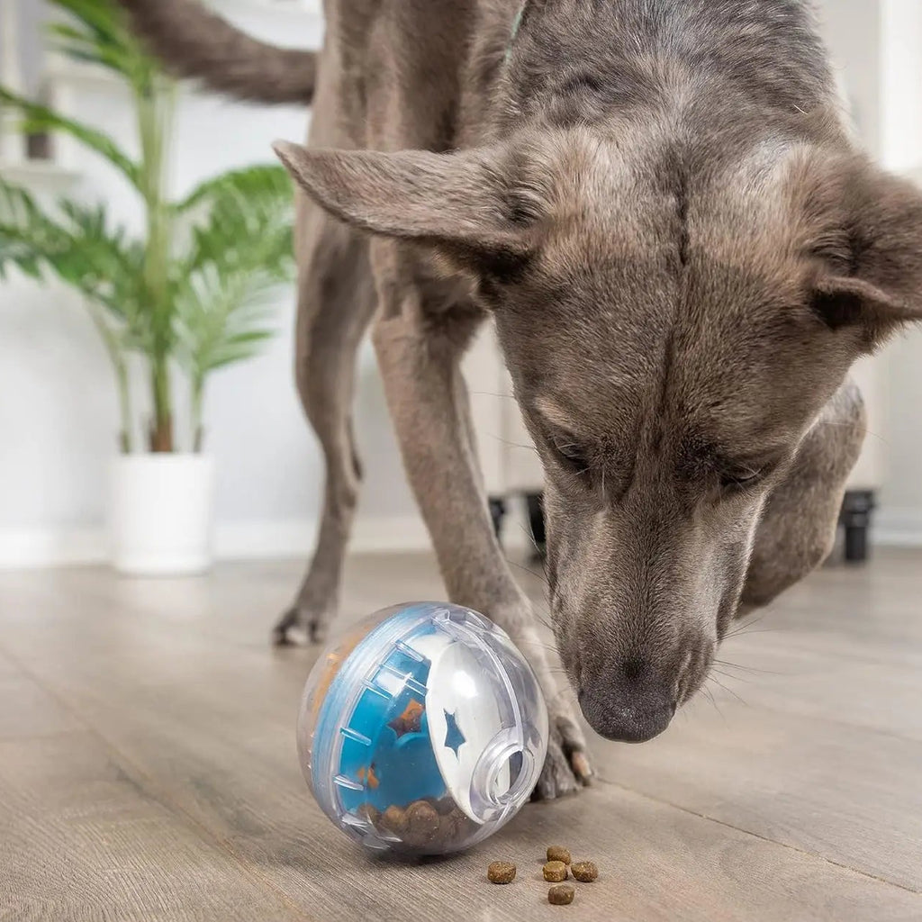 Wuffielove Smart-Snack IQ-Ball