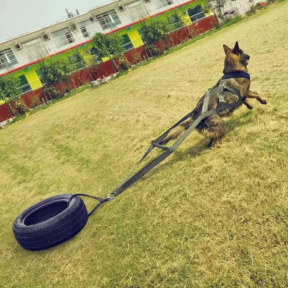 Wuffielove „Power-Pull“
