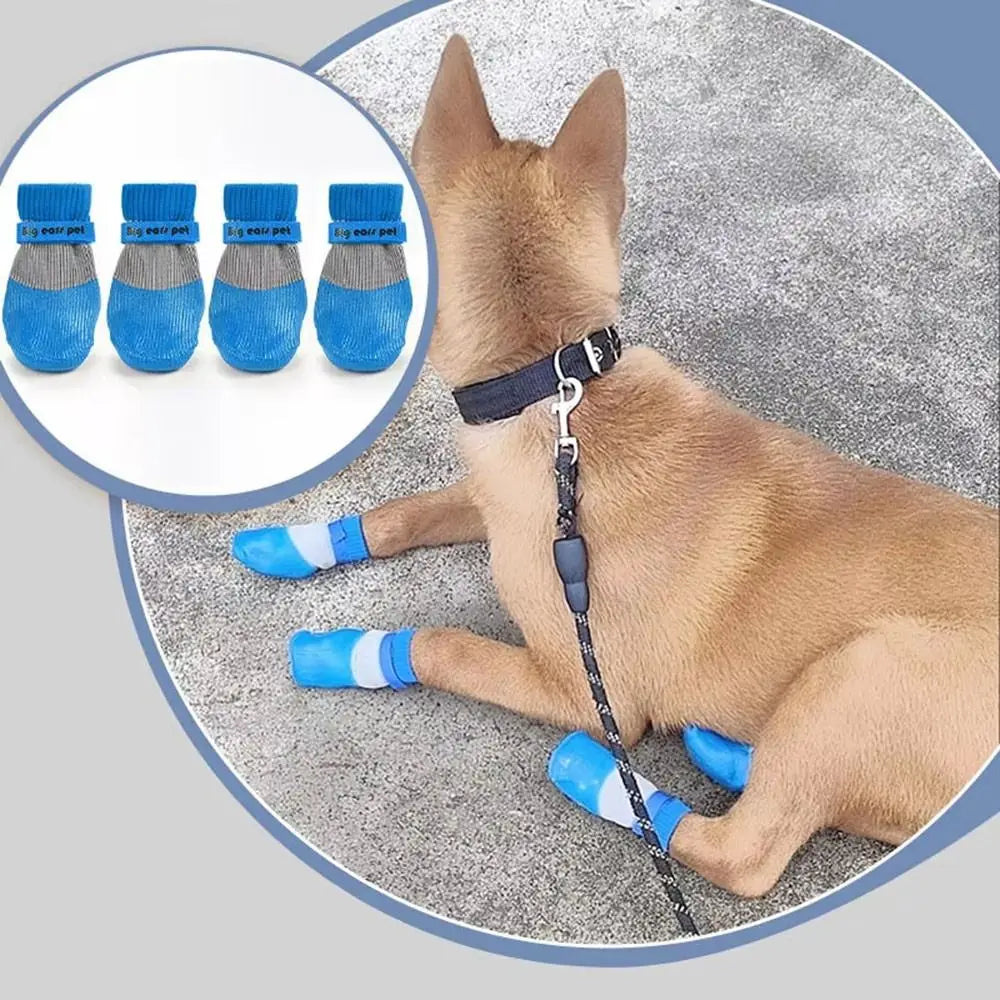 Wuffielove „Arctic-Paws 2026“