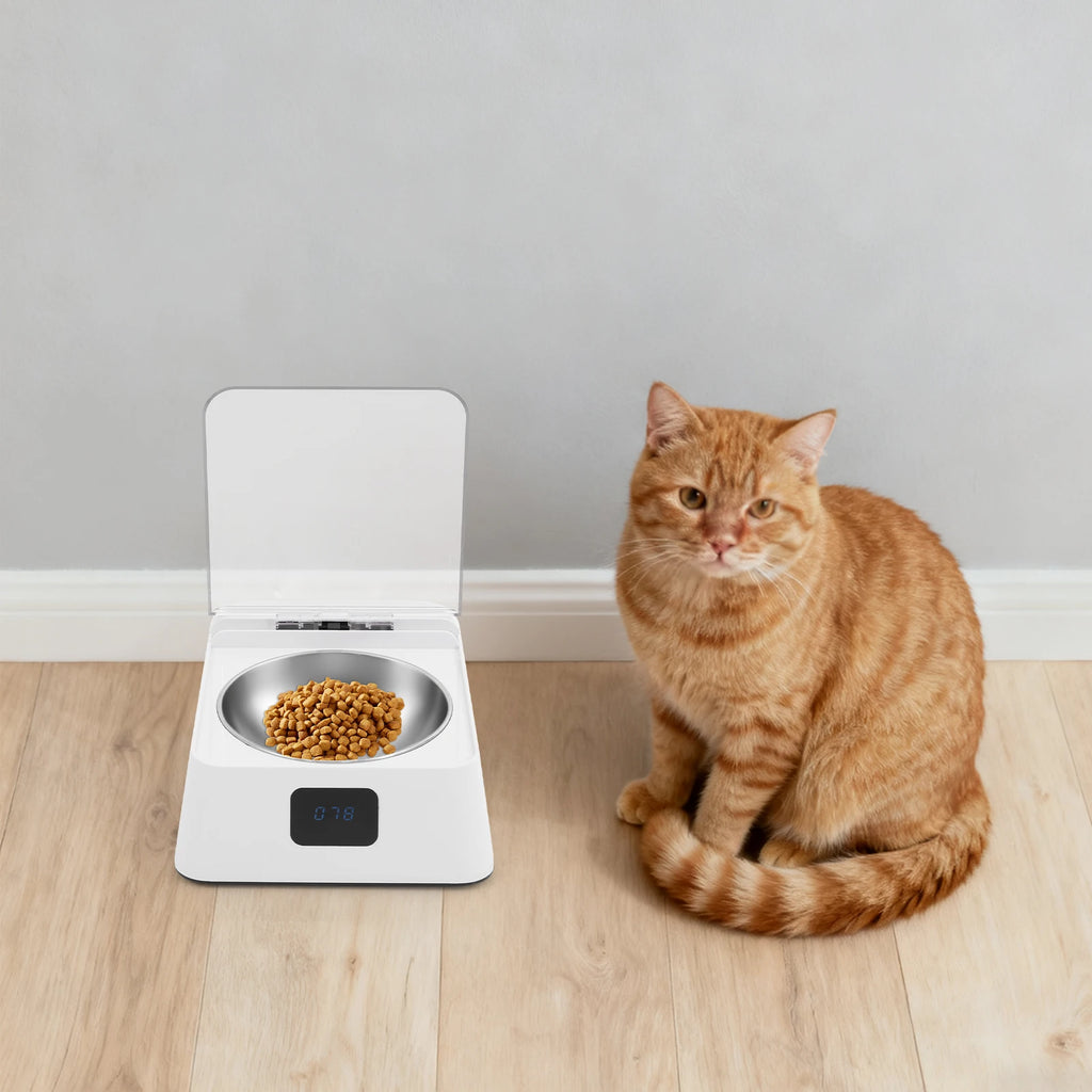 Wuffielove – Futterspender 🐾