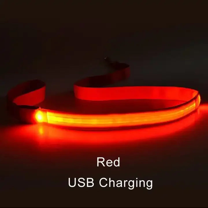 Wuffielove – LED-Nylon-Hundeleine 🌟