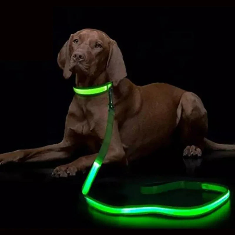 Wuffielove – LED-Nylon-Hundeleine 🌟
