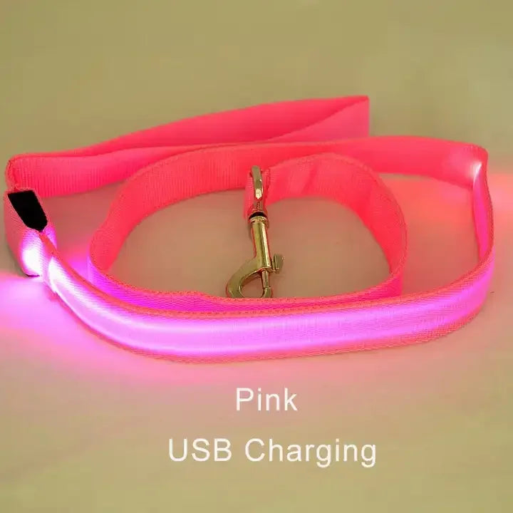 Wuffielove – LED-Nylon-Hundeleine 🌟