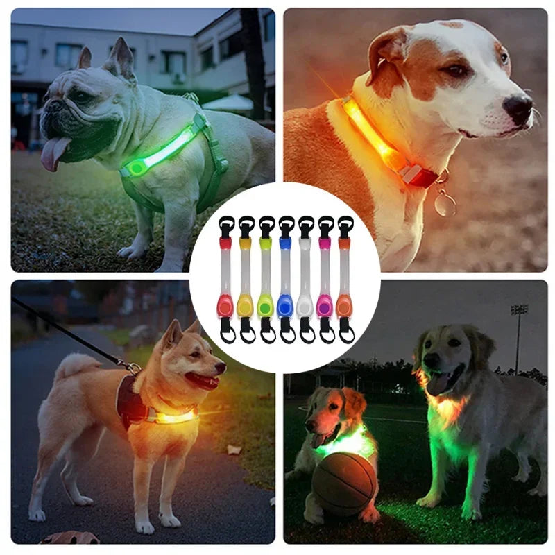 Sicherheits-LED-Glowing-Halsband