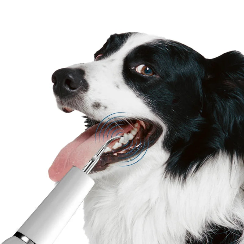 Wuffielove „Dentalschutz“