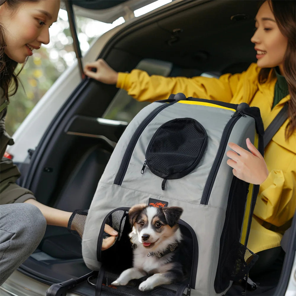 🐶 Faltbarer Hunde- & Katzenwagen