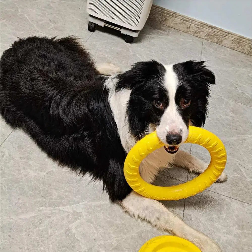 Wuffielove „Aero-Ring“
