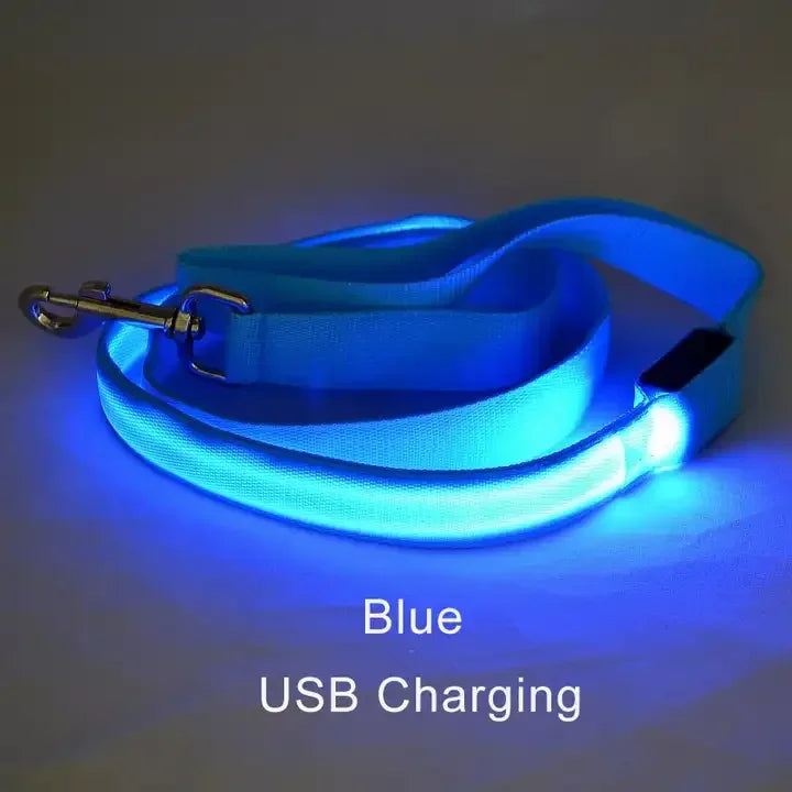 Wuffielove – LED-Nylon-Hundeleine 🌟