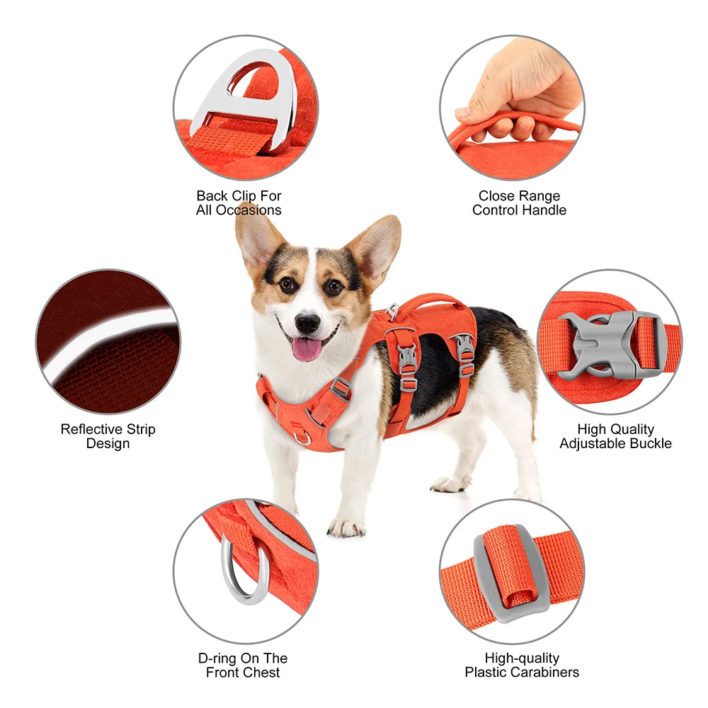 Premium Hundegeschirr